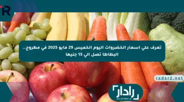 تعرف على أسعار الخضروات اليوم الخميس 29 مايو 2025 في مطروح.. البطاطا تصل إلى 15 جنيها